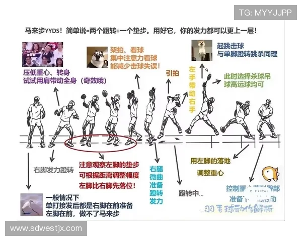 羽毛球专题：深入探讨杭州羽毛球队的训练与比赛节奏分析